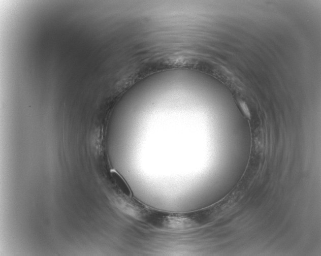 X0000068300605200605051935