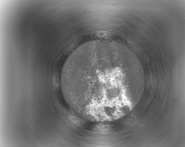 X0000068300606200605051935