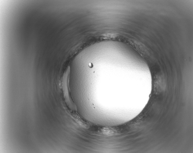 X0000068300608200605051935