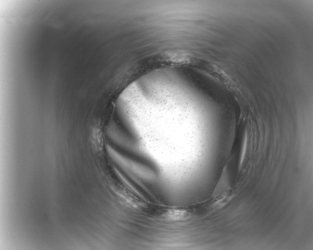 X0000068300609200605051935