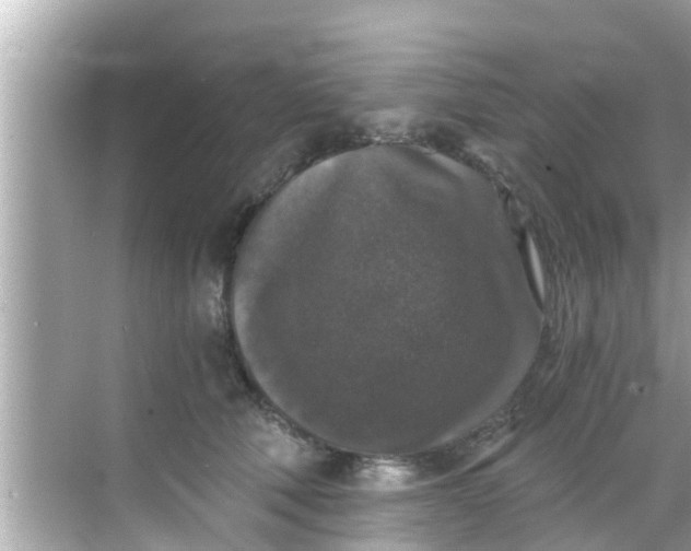 X0000068300610200605051935