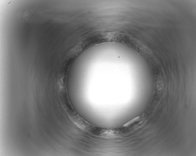 X0000068300611200605051935