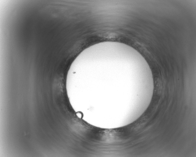 X0000068300612200605051935