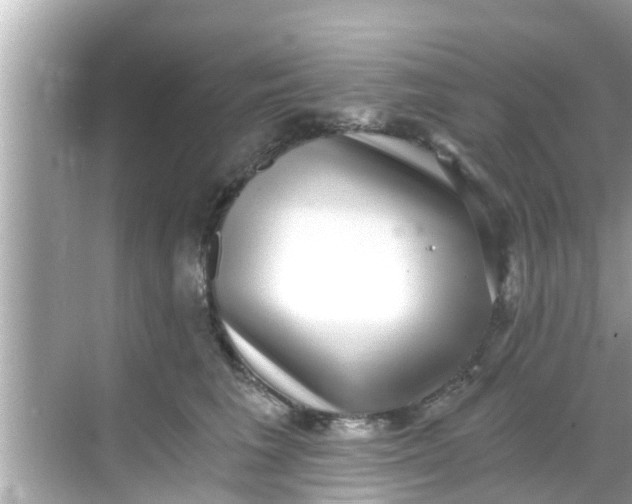 X0000068300613200605051935