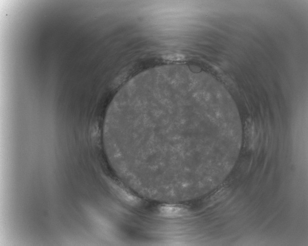 X0000068300614200605051935