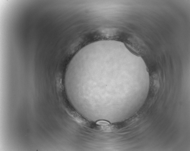 X0000068300615200605051935