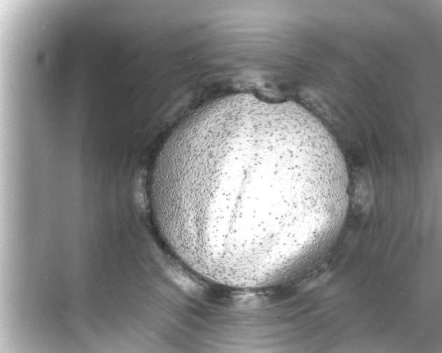 X0000068300616200605051935