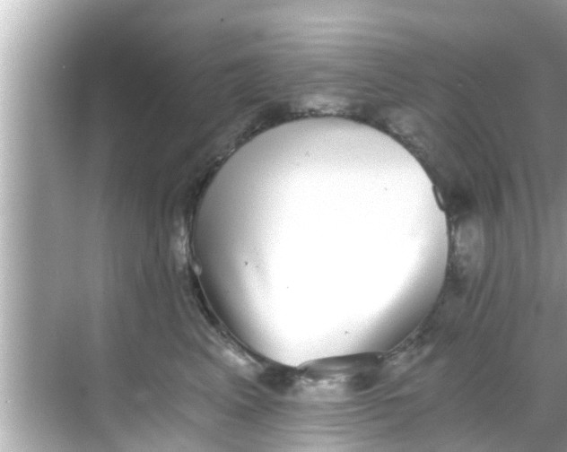 X0000068300617200605051935