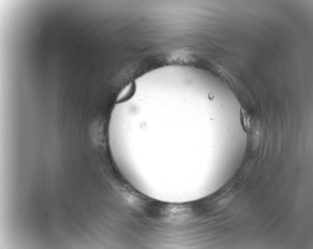 X0000068300619200605051935