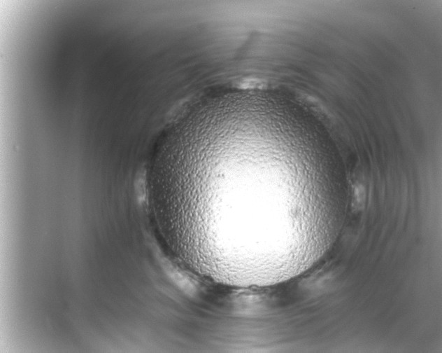 X0000068300620200605051935