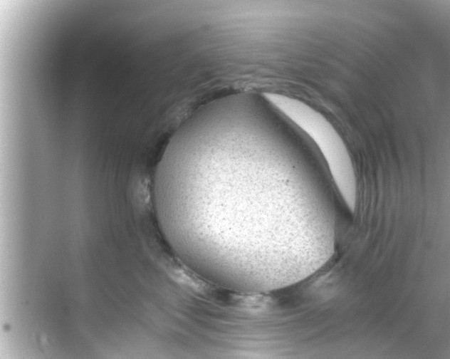 X0000068300621200605051935