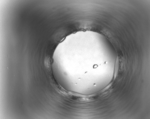 X0000068300623200605051935