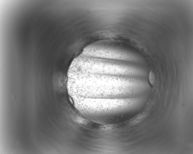 X0000068300624200605051935