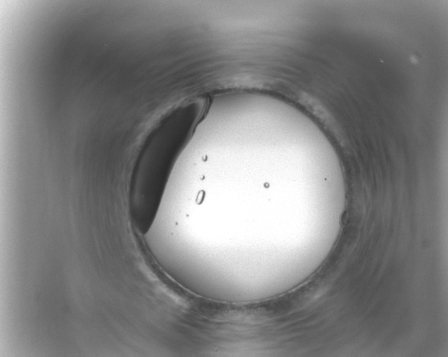 X0000068300625200605051934