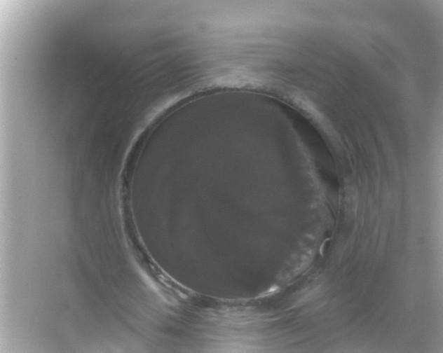 X0000068300626200605051934