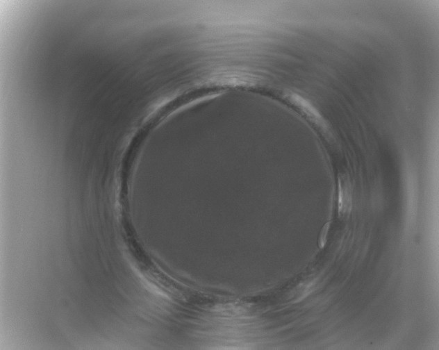 X0000068300627200605051934