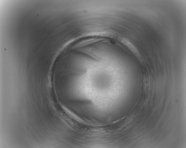 X0000068300628200605051934