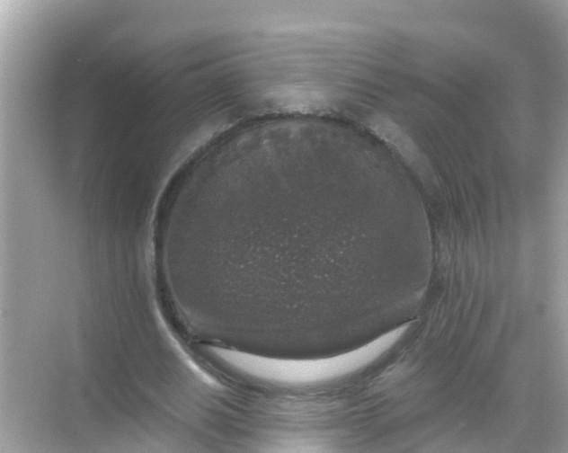 X0000068300630200605051934