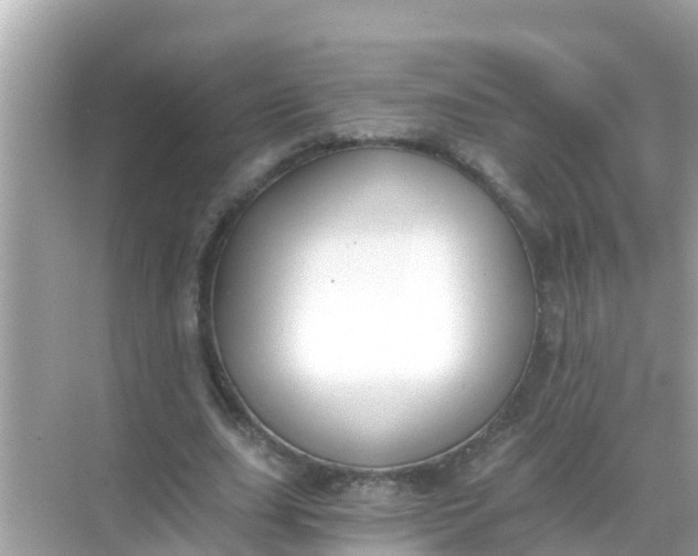 X0000068300631200605051934