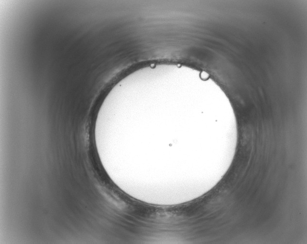 X0000068300632200605051934