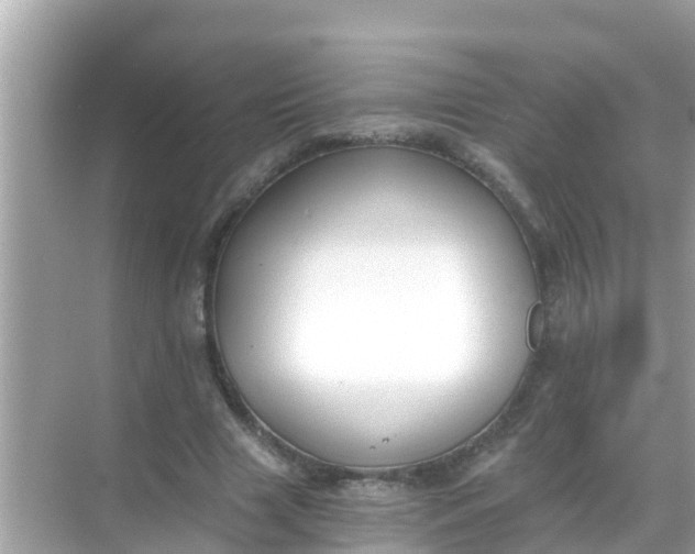 X0000068300633200605051934