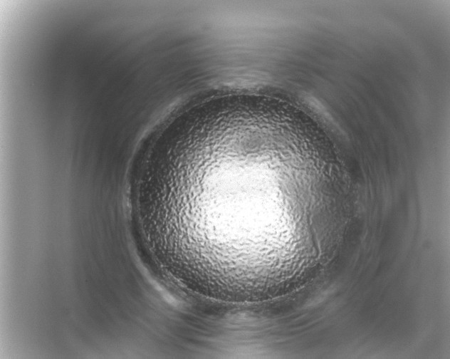 X0000068300634200605051934