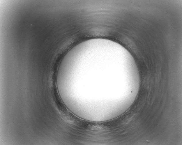 X0000068300635200605051934