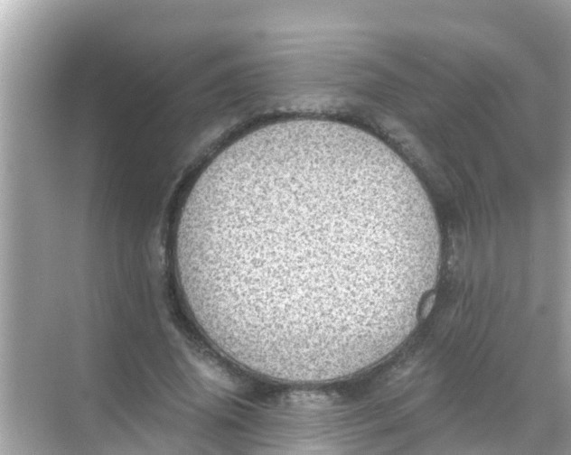 X0000068300636200605051934