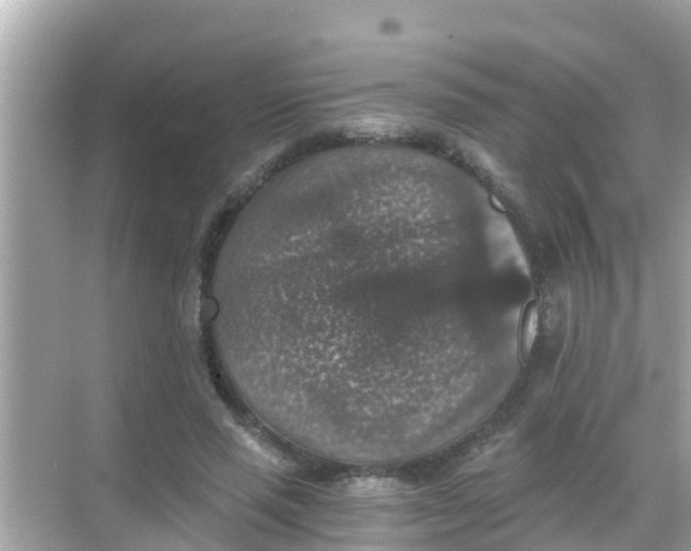 X0000068300637200605051934