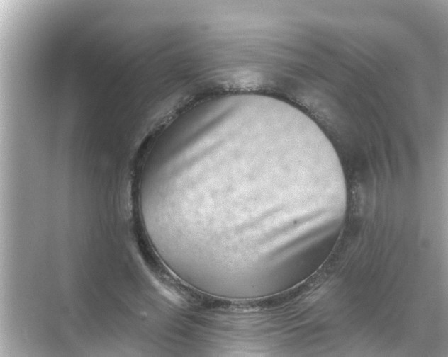 X0000068300638200605051934