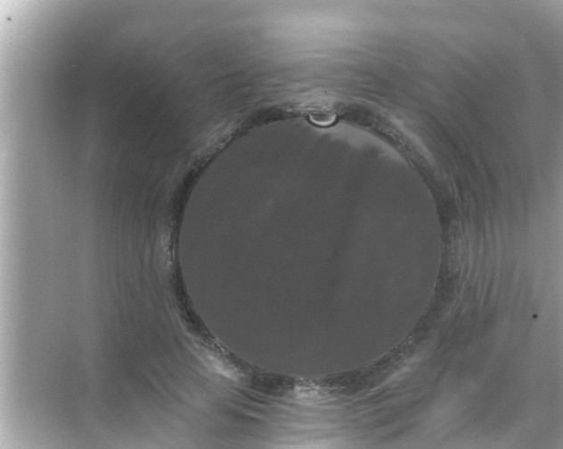 X0000068300641200605051934