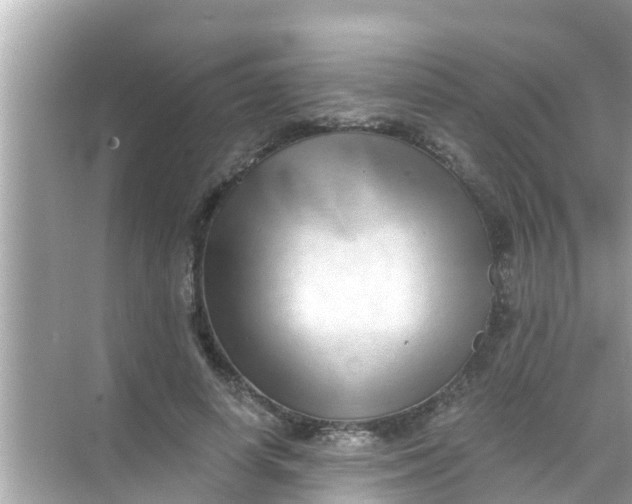 X0000068300642200605051934