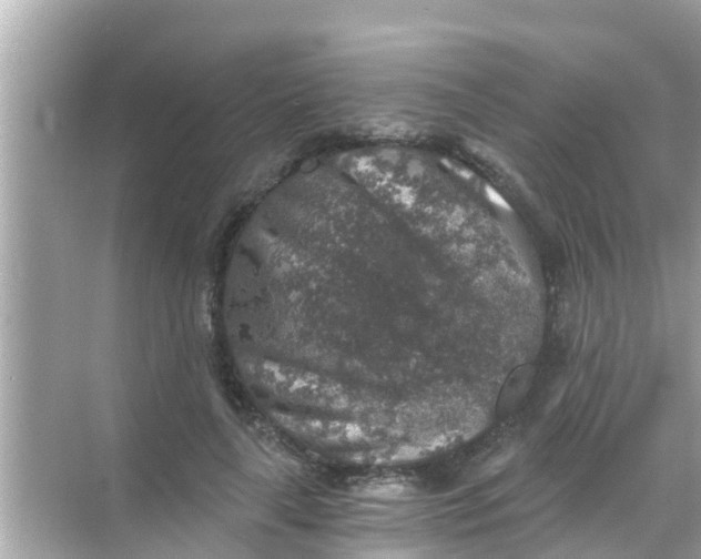 X0000068300643200605051934