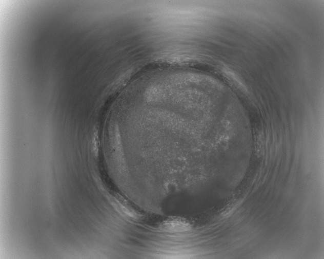 X0000068300644200605051934