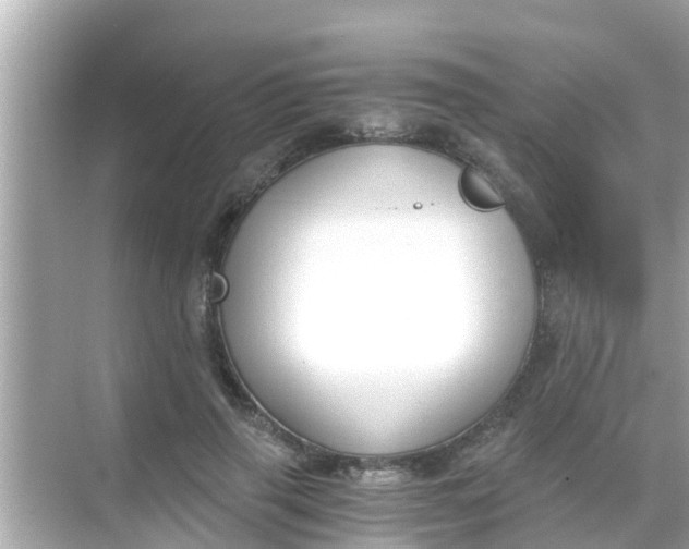 X0000068300645200605051934