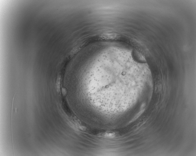 X0000068300647200605051934