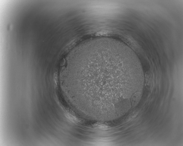 X0000068300648200605051934