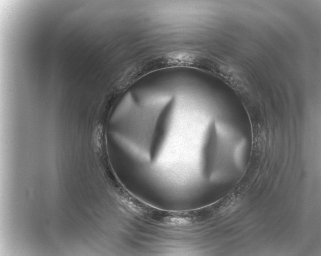 X0000068300649200605051934