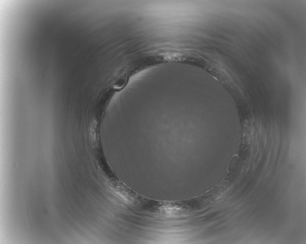 X0000068300650200605051934