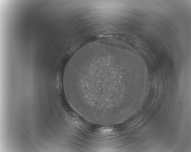 X0000068300651200605051934