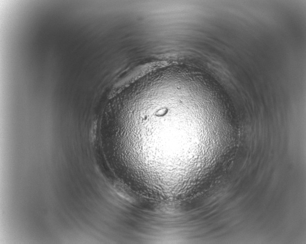 X0000068300652200605051934