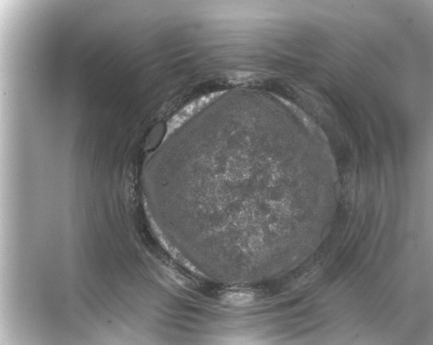 X0000068300653200605051934