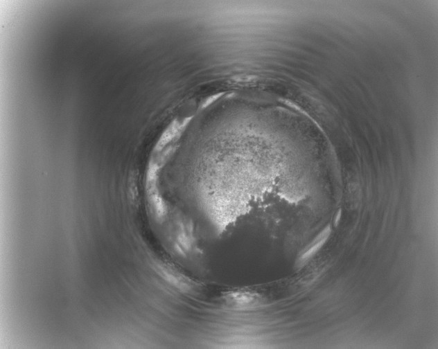 X0000068300654200605051934