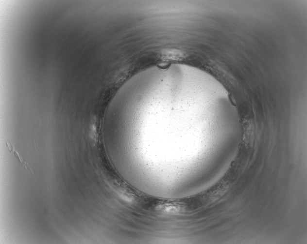 X0000068300655200605051934