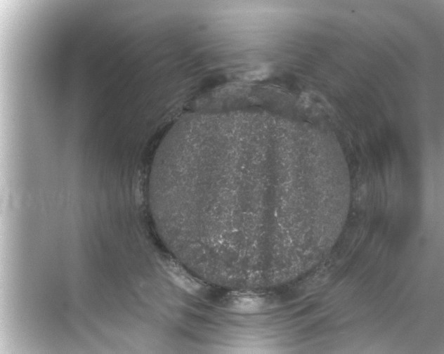 X0000068300658200605051934