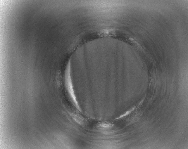 X0000068300659200605051934