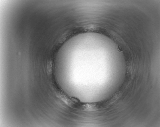 X0000068300660200605051934