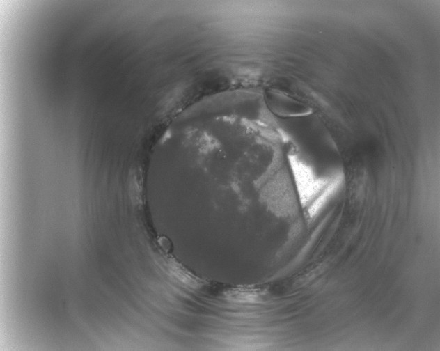 X0000068300661200605051934