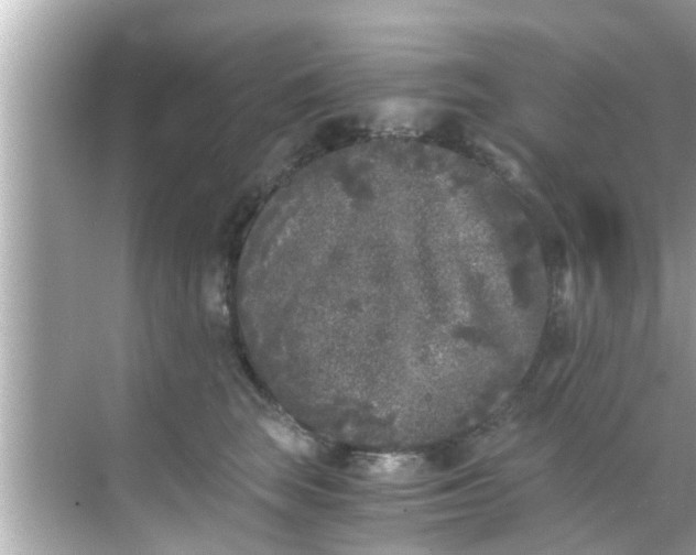 X0000068300663200605051934