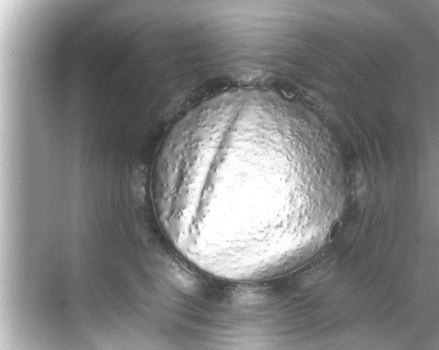 X0000068300664200605051934